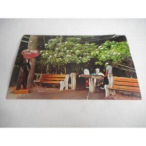 Vintage Postcard unposted Bushkill Falls, PA entrance rhododendron 1960s